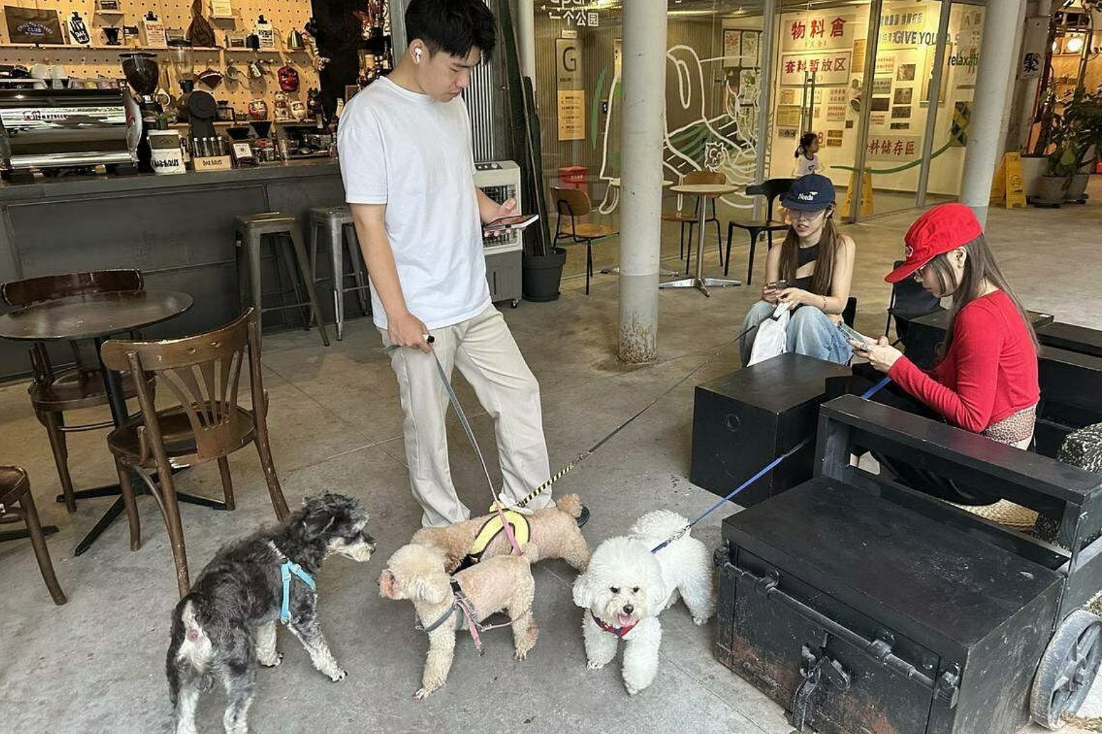 深圳青年在“一个公园”聚集的同时，也让宠物进行社交